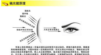 時(shí)尚與運(yùn)動的完美結(jié)合 特別推薦GD100太陽眼鏡套裝